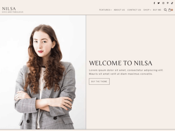 Download Nilsa - Minimalist Wordpress Theme - Minimalist Collection